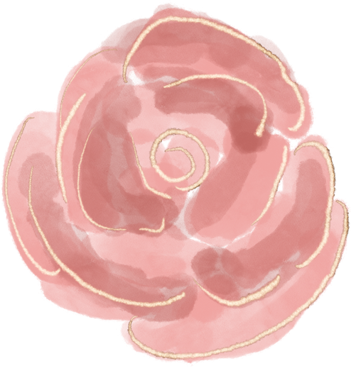 Pink rose flower with gold lines