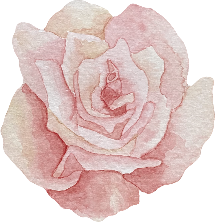 Watercolor Rose Illustration